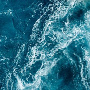 Meet your Posher, Nina